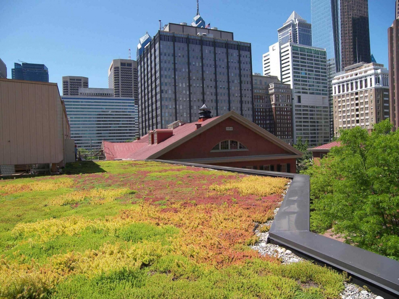 paysagiste-MONS-min_green-roof-portfolio-4